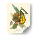 Naturaleza Jardin Iv - L. Curmer | Cuadro decorativo de Canvas Lab