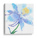 Columbine Bloom I - Tim OToole | Cuadro decorativo de Canvas Lab