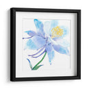 Columbine Bloom I - Tim OToole | Cuadro decorativo de Canvas Lab