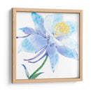 Columbine Bloom I - Tim OToole | Cuadro decorativo de Canvas Lab