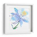 Columbine Bloom I - Tim OToole | Cuadro decorativo de Canvas Lab