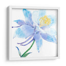 Columbine Bloom I - Tim OToole | Cuadro decorativo de Canvas Lab