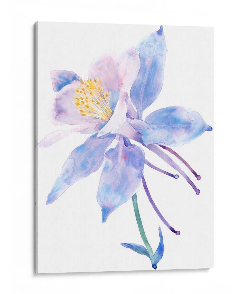 Columbine Bloom Ii - Tim OToole | Cuadro decorativo de Canvas Lab