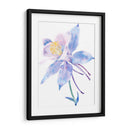 Columbine Bloom Ii - Tim OToole | Cuadro decorativo de Canvas Lab