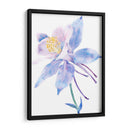 Columbine Bloom Ii - Tim OToole | Cuadro decorativo de Canvas Lab