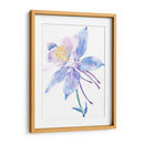 Columbine Bloom Ii - Tim OToole | Cuadro decorativo de Canvas Lab