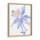 Columbine Bloom Ii - Tim OToole | Cuadro decorativo de Canvas Lab
