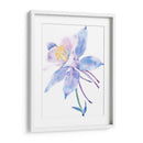 Columbine Bloom Ii - Tim OToole | Cuadro decorativo de Canvas Lab