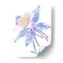 Columbine Bloom Ii - Tim OToole | Cuadro decorativo de Canvas Lab