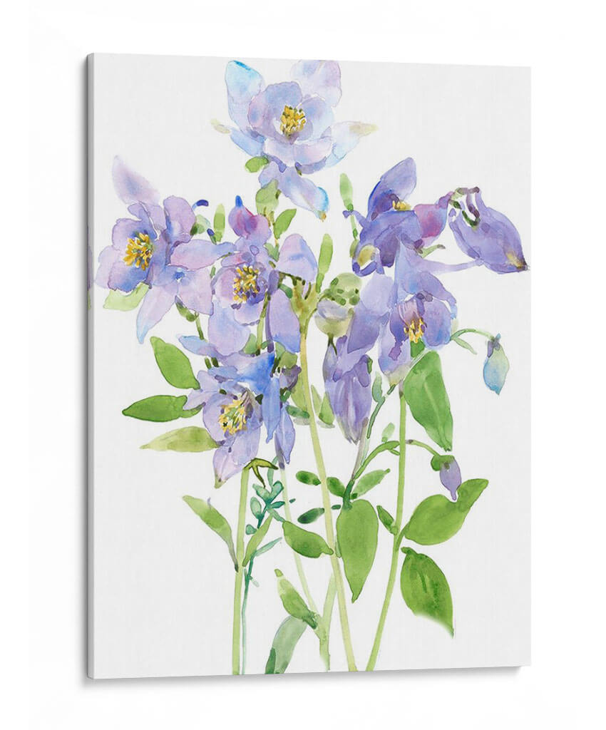 Spray De Columbine I - Tim OToole | Cuadro decorativo de Canvas Lab