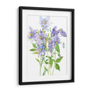 Spray De Columbine I - Tim OToole | Cuadro decorativo de Canvas Lab