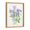 Spray De Columbine I - Tim OToole | Cuadro decorativo de Canvas Lab