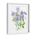 Spray De Columbine I - Tim OToole | Cuadro decorativo de Canvas Lab