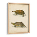 Tortuga Dúo I - J.W. Hill | Cuadro decorativo de Canvas Lab