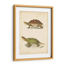 Tortuga Duo Ii - J.W. Hill | Cuadro decorativo de Canvas Lab