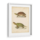Tortuga Duo Ii - J.W. Hill | Cuadro decorativo de Canvas Lab