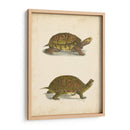 Tortuga Duo Iii - J.W. Hill | Cuadro decorativo de Canvas Lab