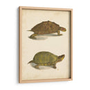 Tortuga Duo Iv - J.W. Hill | Cuadro decorativo de Canvas Lab
