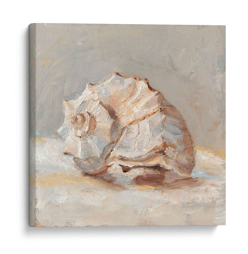 Estudio De Cáscara Impresionista Ii - Ethan Harper | Cuadro decorativo de Canvas Lab