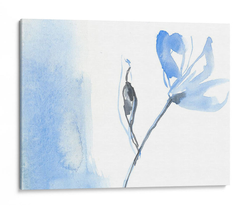 Jardín Esbozado Ii - Jennifer Goldberger | Cuadro decorativo de Canvas Lab