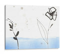 Bosquejo Jardín Vii - Jennifer Goldberger | Cuadro decorativo de Canvas Lab