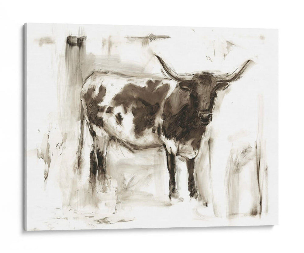 Estudio De Longhorn I - Ethan Harper | Cuadro decorativo de Canvas Lab