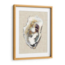 Estudio De La Concha De Oyster I - Michael Willett | Cuadro decorativo de Canvas Lab