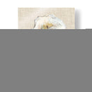Estudio De La Concha De Oyster I - Michael Willett | Cuadro decorativo de Canvas Lab