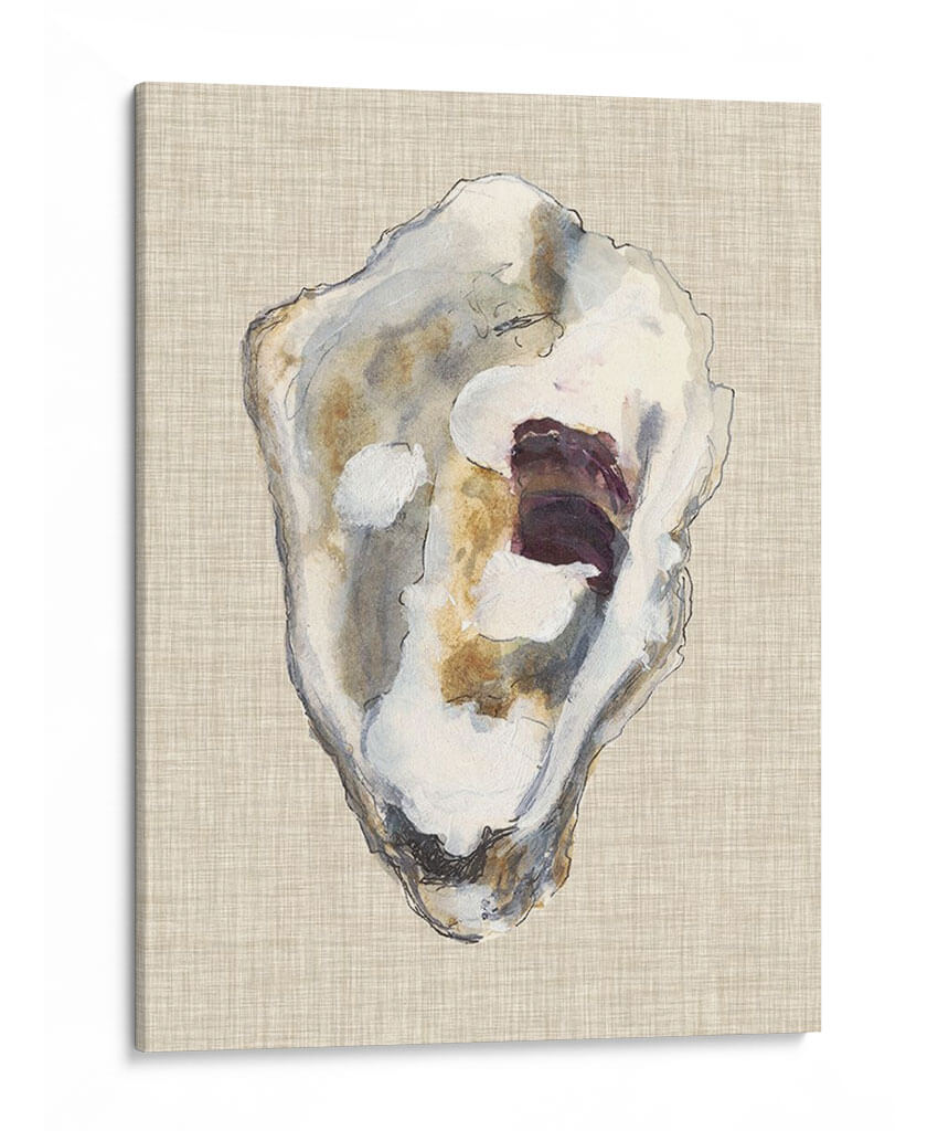 Estudio De Concha De Oyster Ii - Michael Willett | Cuadro decorativo de Canvas Lab