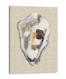 Estudio De Concha De Oyster Ii - Michael Willett | Cuadro decorativo de Canvas Lab