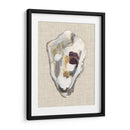 Estudio De Concha De Oyster Ii - Michael Willett | Cuadro decorativo de Canvas Lab