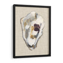 Estudio De Concha De Oyster Ii - Michael Willett | Cuadro decorativo de Canvas Lab