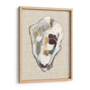 Estudio De Concha De Oyster Ii - Michael Willett | Cuadro decorativo de Canvas Lab