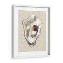 Estudio De Concha De Oyster Ii - Michael Willett | Cuadro decorativo de Canvas Lab