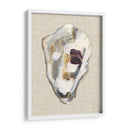 Estudio De Concha De Oyster Ii - Michael Willett | Cuadro decorativo de Canvas Lab