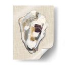 Estudio De Concha De Oyster Ii - Michael Willett | Cuadro decorativo de Canvas Lab