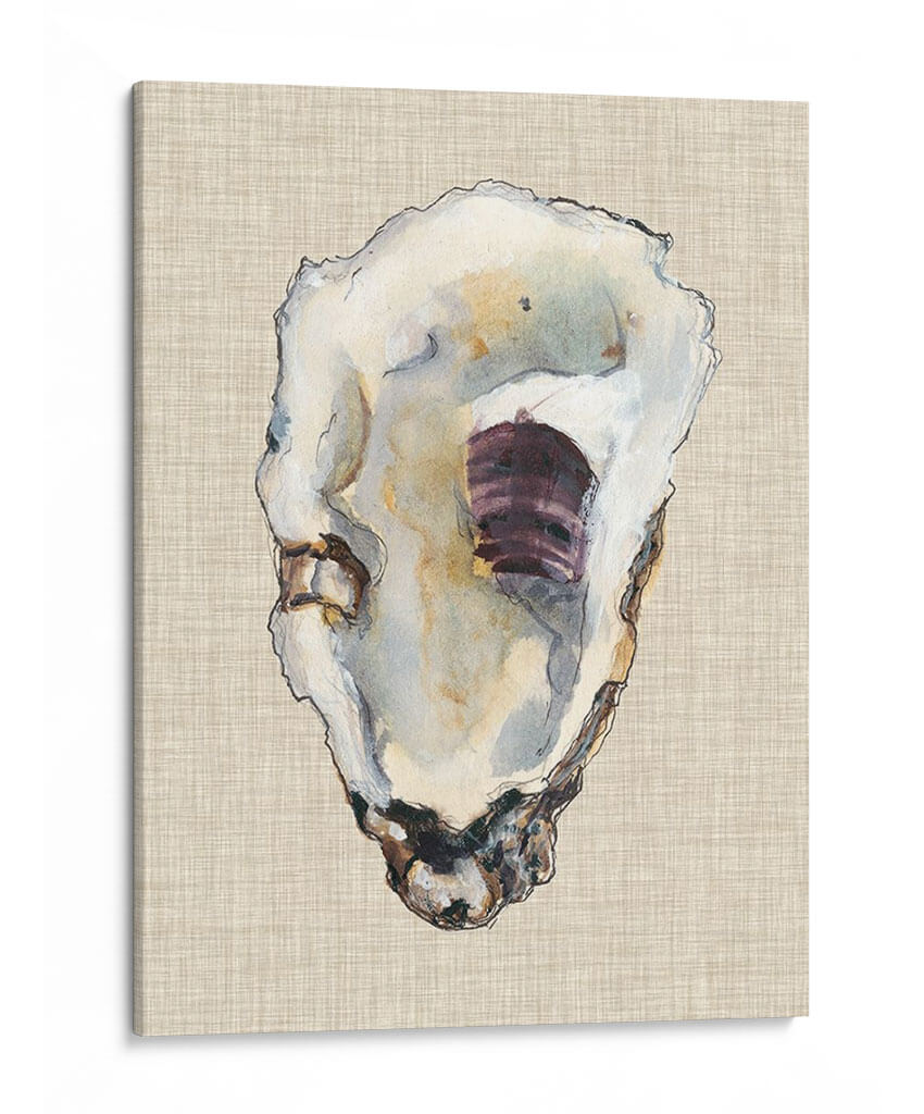 Estudio De Concha De Oyster Iii - Michael Willett | Cuadro decorativo de Canvas Lab