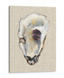 Estudio De Concha De Oyster Iii - Michael Willett | Cuadro decorativo de Canvas Lab