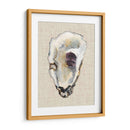 Estudio De Concha De Oyster Iii - Michael Willett | Cuadro decorativo de Canvas Lab