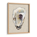 Estudio De Concha De Oyster Iii - Michael Willett | Cuadro decorativo de Canvas Lab