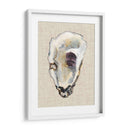 Estudio De Concha De Oyster Iii - Michael Willett | Cuadro decorativo de Canvas Lab