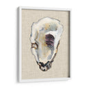Estudio De Concha De Oyster Iii - Michael Willett | Cuadro decorativo de Canvas Lab