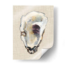 Estudio De Concha De Oyster Iii - Michael Willett | Cuadro decorativo de Canvas Lab