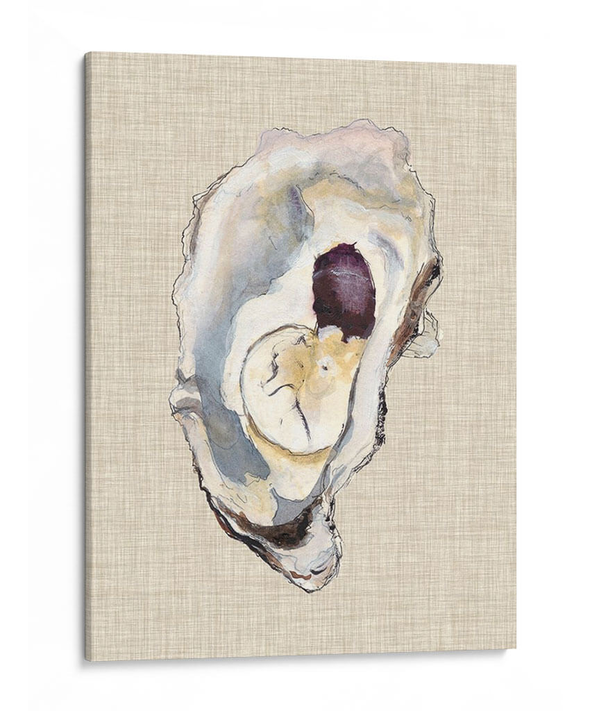 Estudio De La Concha De Oyster Iv - Michael Willett | Cuadro decorativo de Canvas Lab