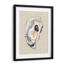 Estudio De La Concha De Oyster Iv - Michael Willett | Cuadro decorativo de Canvas Lab