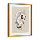 Estudio De La Concha De Oyster Iv - Michael Willett | Cuadro decorativo de Canvas Lab