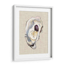 Estudio De La Concha De Oyster Iv - Michael Willett | Cuadro decorativo de Canvas Lab