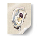 Estudio De La Concha De Oyster Iv - Michael Willett | Cuadro decorativo de Canvas Lab
