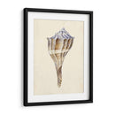 Acuarela Conchashell I - Melissa Wang | Cuadro decorativo de Canvas Lab