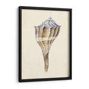 Acuarela Conchashell I - Melissa Wang | Cuadro decorativo de Canvas Lab